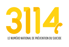 Plateforme des formations du 3114