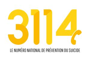 Formations 3114